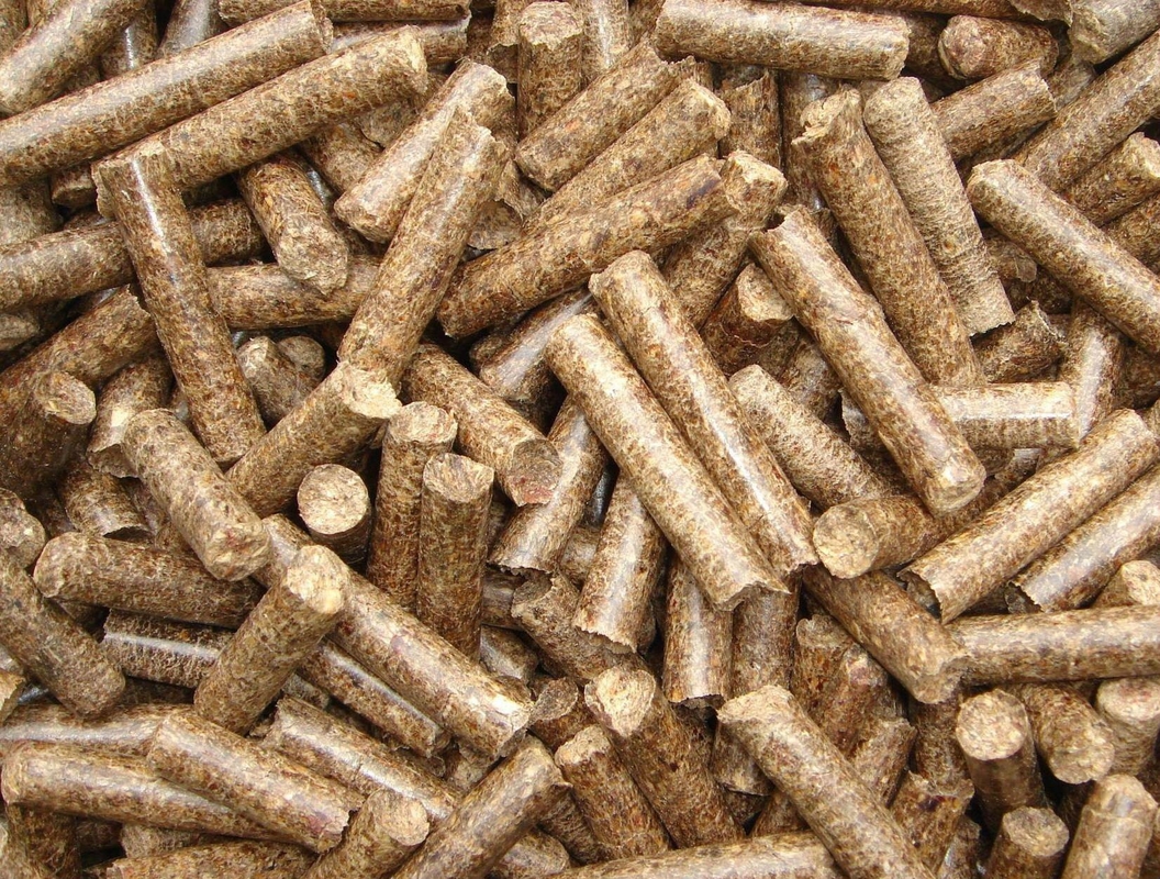Granul Akhir Ukuran 3-10 mm Granulator Pupuk Organik Dengan Kapasitas Produksi 4-6t / jam Kunjungan Selamat datang