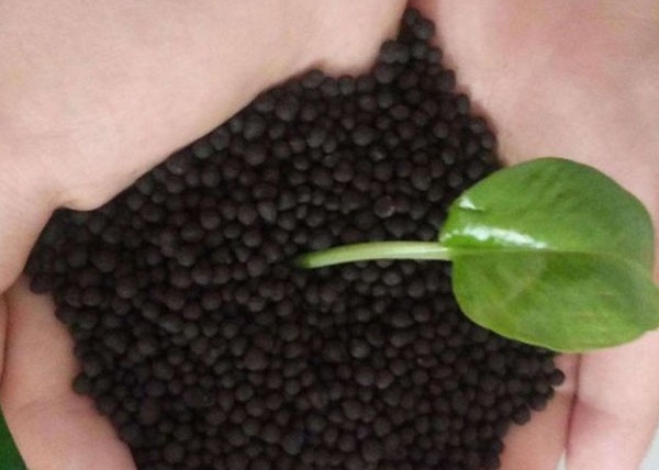 Jalur Produksi Pelet Pupuk Organik Untuk Baja Merpati Jalur Produksi Pupuk Organik Pupuk
